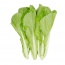 Cải bẹ xanh tươi, an toàn